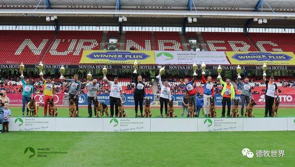 趣味互动-JackeyLove重要时刻刷新纪录，热火带队取胜！赛场气氛高涨-趣味互动